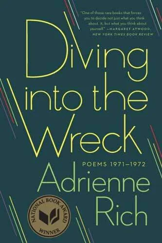 Diving into the Wreck cover