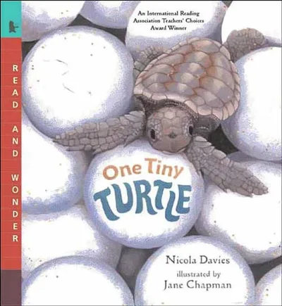 One Tiny Turtle cover