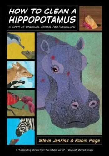 How to Clean a Hippopotamus cover