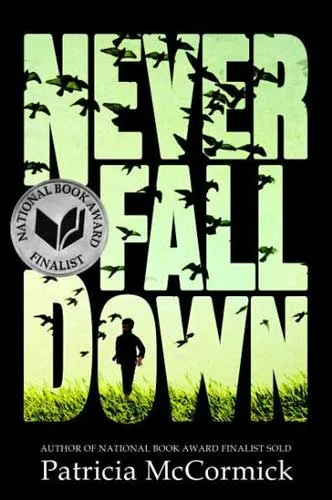 Never Fall Down封面