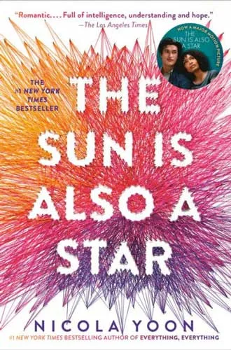 The Sun Is Also a Star封面
