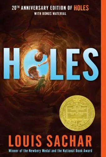 Holes cover