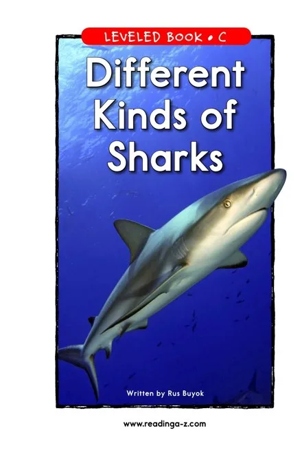 Different Kinds of Sharks cover